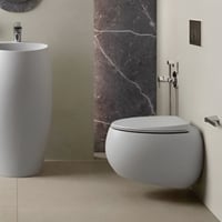 كرسي معلق RAK الماني بتصميم بيضاوي