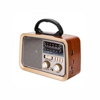 راديو FM/AM/SW باند مع مشغل موسيقى USB/TF ( PR130...