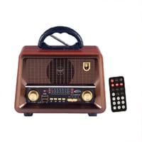 راديو محمول DENX DX2440 مع بلوتوث وUSB وصوت Hi-Fi...