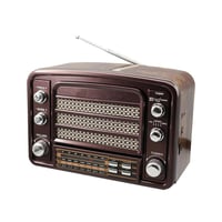 راديو DENX DX2438 متعدد الوظائف بصوت Hi-Fi وتقنيات...