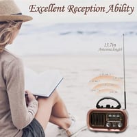 راديو بلوتوث محمول DENX DX2449 بألواح شمسية وتشغيل...