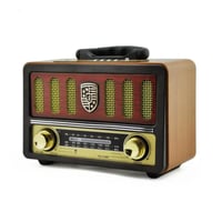 راديو DENX DX2441 بصوت HiFi وبلوتوث وراديو FM وتشغ...