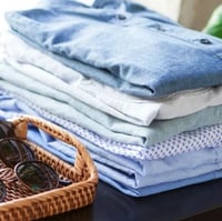 مكواة بخار الملابس المحمولة DENX DX3002