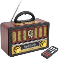 راديو DENX DX2441 بصوت HiFi وبلوتوث وراديو FM وتشغ...