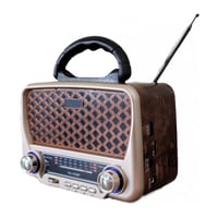 راديو محمول DENX DX2434 مع HiFi وبلوتوث وراديو FM...