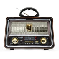 راديو DENX DX2442 متعدد الوظائف بصوت Hi-Fi وبلوتوث...