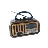 راديو DENX DX2448 بصوت HiFi وتقنية بلوتوث ودعم FM...