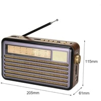 راديو DENX DX2437 بتقنية بلوتوث، مصباح يدوي وبطاري...