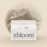 إكسبودز فيصل يونس 8X15