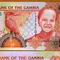 غامبيا فئة 5 دالاسي أنسر اصدار قديم