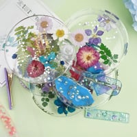 ورد مجفف مجموعة رقم 6