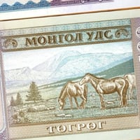 منغوليا فئة 100 توغروغ انسر