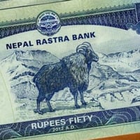 نيبال فئة 50 روبية أنسر