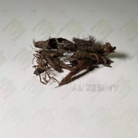 عشبة السابلة