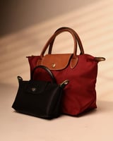 طقم شنطتين مقاس صغير عودي وأسود