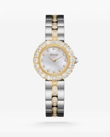 هدية نسائية فاخرة بلون فضي وذهبي