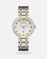 هدية نسائية تصف معاني الأناقة