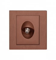 فيش دش كوفي توفل