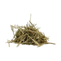 عشبة القيصوم