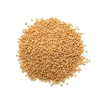 بذور خردل ابيض