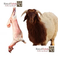 خروف نعيمي بلدي كامل عمر 5 الى 6 شهور
