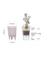 حوض Angolo ري ذاتي - 14سم