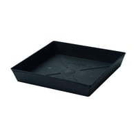 صحن Export مربع