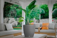 حوض Anthea دائري ري ذاتي