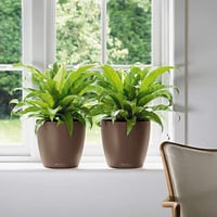 حوض نبات الماني ذاتي الري Lechuza Classico Premium