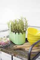 حوض سلة للزهور من EMSA