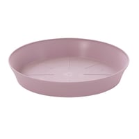 صحن Export دائري