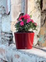 حوض Single دائري ري ذاتي