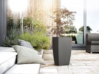 حوض Casa Mesh مربع طويل ري ذاتي