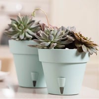 حوض Latina ري ذاتي