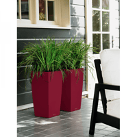 حوض نبات الماني ذاتي الري Lechuza Cubico Color