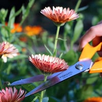 مقص الحدائق العالمي S90 طول 21سم من FISKARS