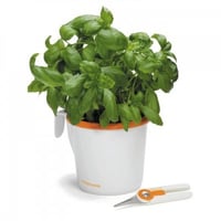 مركن أعشاب + مقص أعشاب FISKARS