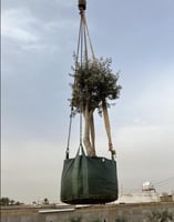 أكياس زراعية للأشجار 700لتر