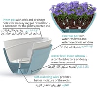 حوض Calipso بيضاوي ري ذاتي