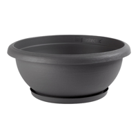 حوض Terrae دائري قصير مع صحن