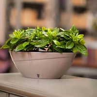 حوض Calipso بيضاوي ري ذاتي