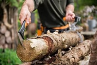 ذراع حمل و نقل الجذوع الصغيرة بتقنية ™WoodXpert