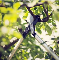 مقص أغصان PowerGear™ X LX94 (M)