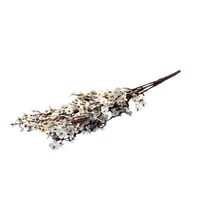 أزهار الكرز الكورية صناعي