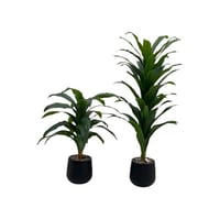 شجرة ذرة اخضر بلاستيك مرن