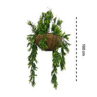 مكرمية مع خضار متدلي