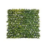 شبك عشب اخضر شفليرا