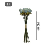 أغصان بيبي روز