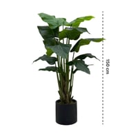 شجر عصفور الجنة