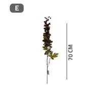 غصن دفلينيوم